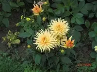 09-07-21_1.webp