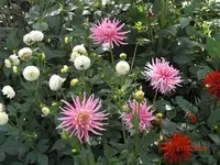 09-07-21_2.webp