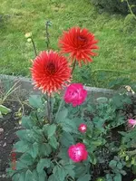 09-08-01_1.webp