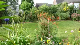 Blick in den Garten.webp