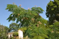 DSC_0144[4].webp