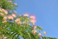 DSC_0177[1].webp