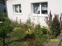 100_2113.webp