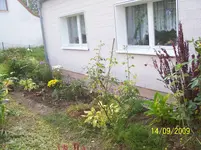 100_2136.webp