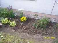 100_2138.webp