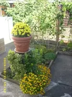 JD500051.webp