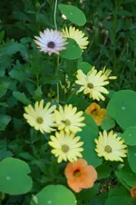 DSC_2623.webp