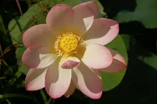 DSC_2648.webp