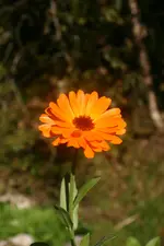 IMG_6935.webp