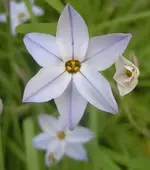 September 2009 Gardenclub 158 v.webp