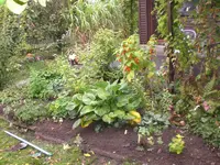 Garten September209 008.webp