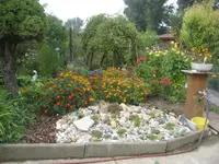 garten 09 012.webp