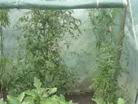 garten 09 001.webp
