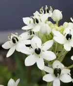 IMG_1969.webp