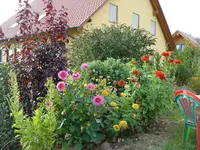 garten.webp