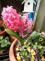 c070.webp