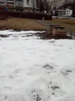 2018 Schnee 16. März.webp