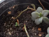 P4110021.webp