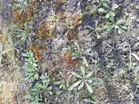 IMG_20180409_092439.webp