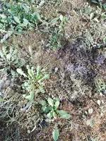 IMG_20180409_092455.webp
