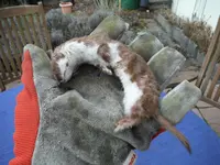 DSCF1708.webp