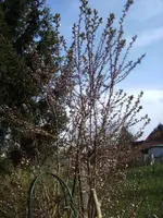 BILD9125.webp