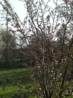 BILD9129.webp