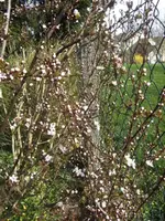 BILD9126.webp