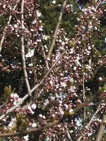 BILD9128.webp