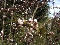 BILD9127.webp