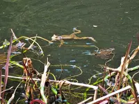 DSCF0893 (2).webp
