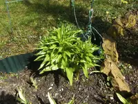 BILD9077.webp