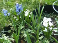 BILD9113.webp