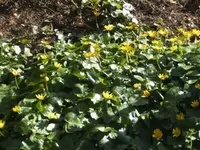 BILD9130.webp