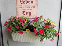 c002.webp
