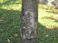 DSCN0315.jpg