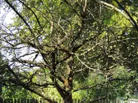 DSCN0316.webp
