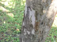 DSCN0317.jpg