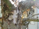 DSCN0319.jpg