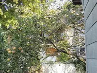 DSCN0321.jpg