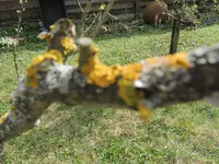 DSCN0479.webp