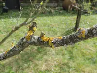 DSCN0480.webp