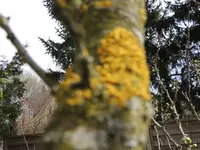 DSCN0481.webp