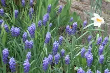 IMG_4801.jpg