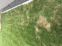 OXl6i0OIRZSqvr6T9A5J5g.webp