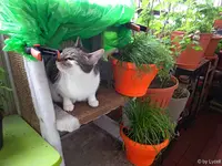 c011.webp