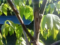 DSC00382.webp