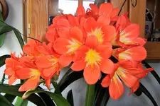 100_3789.JPG