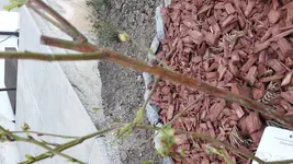 20180414_110006.webp