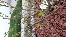 20180414_110022.webp